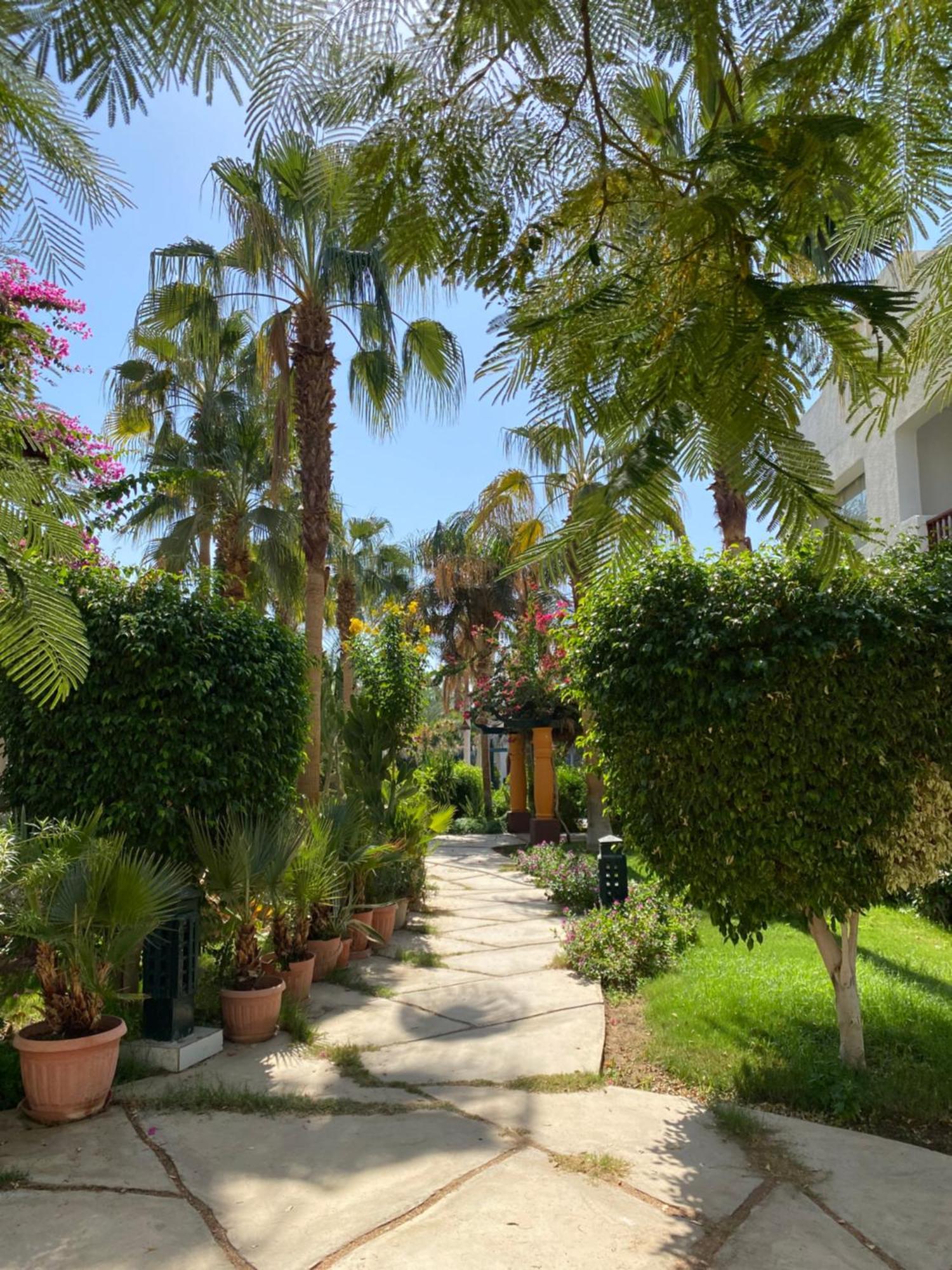 Delta Sharm Appartement Buitenkant foto
